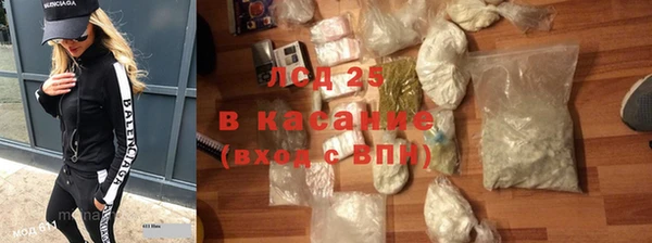 прущие грибы Абдулино