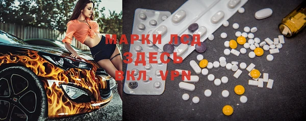 прущие грибы Абдулино