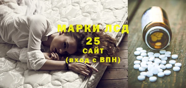 прущие грибы Абдулино