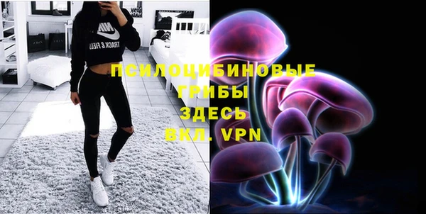 прущая мука Абаза