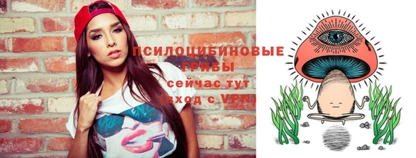 прущие грибы Абдулино